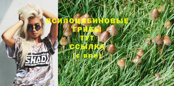 крисы Бугульма