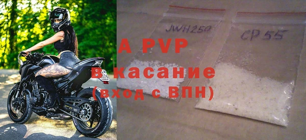 гидра Гусев