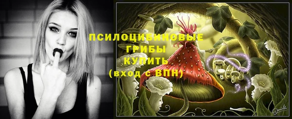 крисы Бугульма