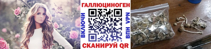 Псилоцибиновые грибы Magic Shrooms  OMG ONION  Кузнецк 